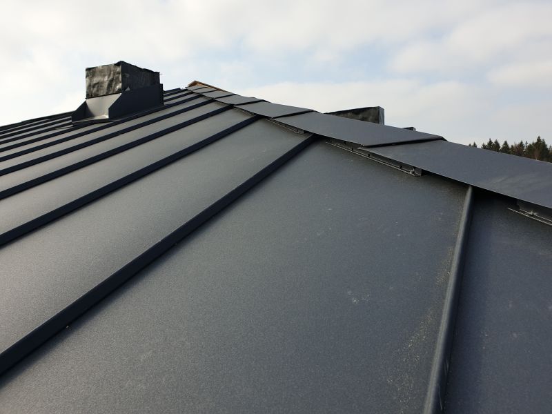 Metal Roof Sealing